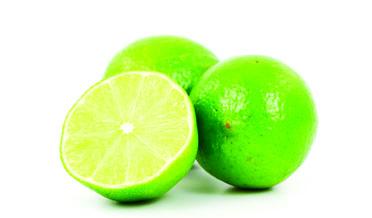 Lemon - Agricultores Latinos Agrolatin